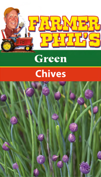 Farmer Phil's Green Chives